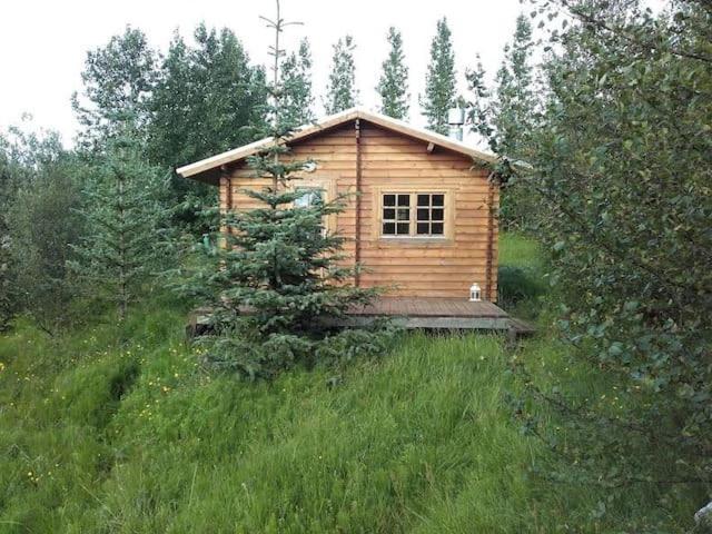 Arngrimslundur Log Cabin - Cabin 3 Fludir Dış mekan fotoğraf