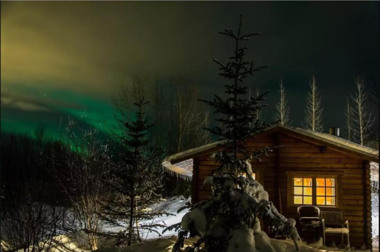 Arngrimslundur Log Cabin - Cabin 3 Fludir Dış mekan fotoğraf